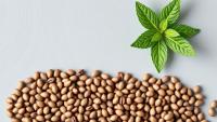 Chia Seeds Show Potent Enzyme-Blocking Power That Depends on Where They Grow