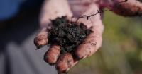 Book review: A peatlands tour delivers a fascinating ecological history and a warning for our future