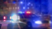 Burglars pepper-spray German shepherd during Lake Balboa break-in