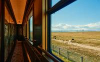 A New Luxury Train Retraces the Silk Road From Beijing to Tashkent
