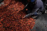 India’s top palm oil buyer AWL sources 70pc of its palm oil from Malaysia, and plans to keep it that way