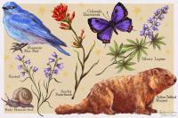 Curious Nature: The art in science
