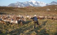 Minerals threaten reconciliation between Sweden and Sami