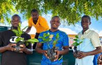 CSIR-SARI distributes 2,500 seedlings