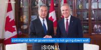 The fate of 41 million Canadians depends on Mark Carney being successful in his renewed trade war with the United States