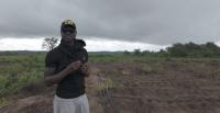 Anidugbe Launches Daily Food Farms, Makes Agriculture Accessible to Professionals