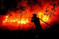 Indonesia faces its most intense wildfire season in 11 years as severe El Nino dries land