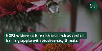 NGFS widens nature risk research as central banks grapple with biodiversity threats