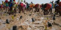 Africa’s climate services need local detail and knowledge, say people who use the information