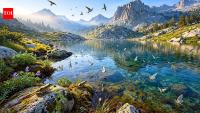 Scientists removed trout from a California mountain lake; the recovery was visible not just in frogs, but in insects and birds
