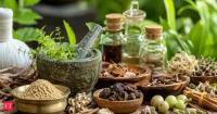 Ayurveda eyes global growth as research, innovation reshape traditional system