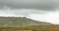 Review finds technology could improve sheep welfare before signs are visible