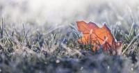 Friday’s weather comes with warnings from Environment Canada