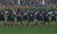 Who shone in Baltimore? Springbok player ratings after 43-28 triumph against All Blacks