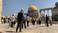 Over 200 Settlers Storm Al-Aqsa During Jewish Holidays