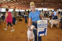 East Texas State Fair Junior Livestock Show showcases youth, agriculture in Athens