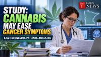 Study Finds Cancer Patients Report Improvement With Medical Cannabis