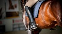 Meat from banned hoses may have entered food chain after trade fraud