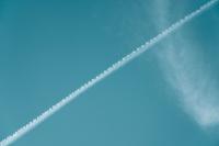 The government is dropping rabies vaccine packets from planes over Georgia