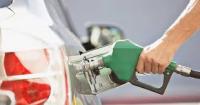 Scientists Demand Halt To E20 Rollout, Scrapping NTA