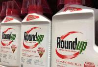 Bayer faces pivotal test of $7.25-billion Roundup settlement in Missouri court