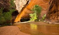 Trump shrank Utah's Grand Staircase by 90%, dismissing prized dinosaur fossils as 'common'