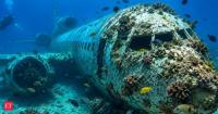 In 2019, Jordan sank a Lockheed L-1011 TriStar in waters up to 92 feet deep; three years later, its fuselage and wings sheltered corals, sponges, octopuses and pufferfish