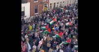So There Was a Protest Saturday Against Donald Trump in Dublin – They Were Waving Palestinian Flags… In Ireland! WTH Was That?