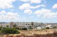Months of pain, delayed care: An asylum seeker’s health crisis in ICE custody