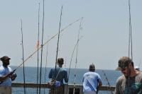FWC promotes ‘Big Catch’ program to highlight Florida fisheries