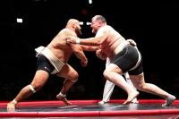 ‘Keep it sumo’: Ancient sport gets a California reboot in Santa Cruz