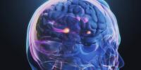 New report examines links between climate, pollution and brain health