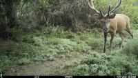 Argentina joins Snapshot: an international network to monitor mammals and strengthen conservation