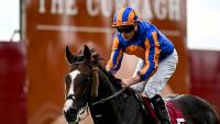 Scandinavia swoops to success in Irish St Leger