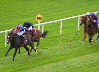 Irish St Leger Trifecta For Ballydoyle As Scandinavia Dominates, Banner Day For O’Brien Family