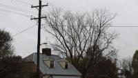 New Jersey power outage tracker: Over 5,600 customers without electricity amid flash flood warnings and heavy rains