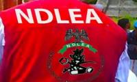 NDLEA Foils UK-Colos Smuggling, Arrests Multiple Suspects