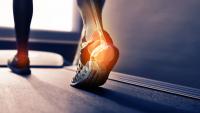 Scientists compared 3- and 90-minute workouts. The result may surprise you