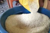 Philippines to import higher percentage broken rice amid global uptick