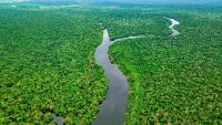 Amazon climate extremes are surging fastest in unexpected places