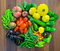 Make a plant-based diet part of lifestyle medicine (People and Plants)