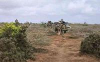 Detention of Somali soldiers in Ethiopia raises questions of role in Sudan war