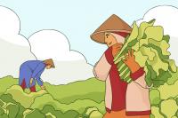 Agricultural trade overhaul required to improve food security