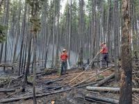 Putting what we know about wildfire prevention into practice (Writer's Bloc)