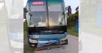 Danger also walks along the Cuban roads: a cow causes a collision with a bus near Ciego de Ávila