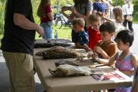 20th Annual Migration Celebration Showcases Bird Research, Projects to Community