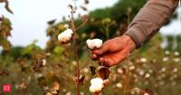 Textile industry wants 6-month extension for duty-free cotton imports