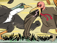 Waterfowl Conservation Efforts spearheaded by App State Organizations