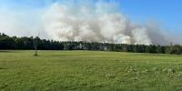 1,314 acre wildfire in Davy Crockett National Forest 100% contained