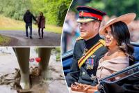 Meghan Markle and Prince Harry’s ‘hypocrisy’ exposed after posting cheery, ‘hyper-curated’ social media video